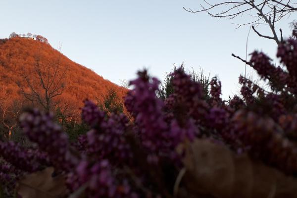 Tonni Marzia - San Bartolomeo e i colori dell'alba
